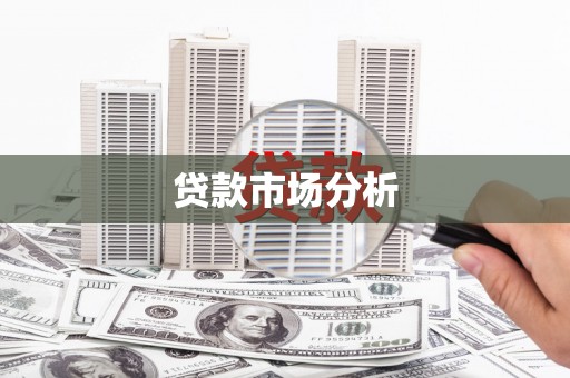 盐边贷款市场分析
