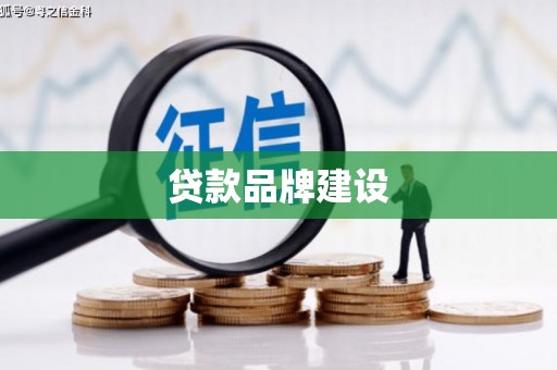 盐边贷款品牌建设