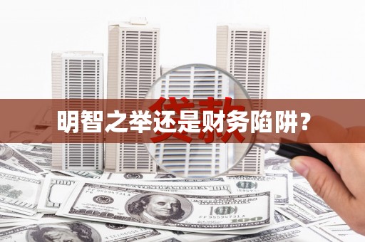 盐边明智之举还是财务陷阱？