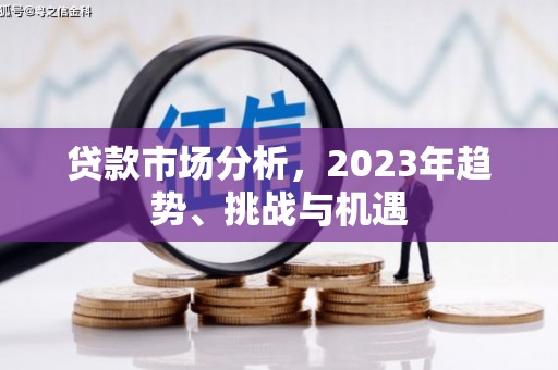 盐边贷款市场分析，2023年趋势、挑战与机遇