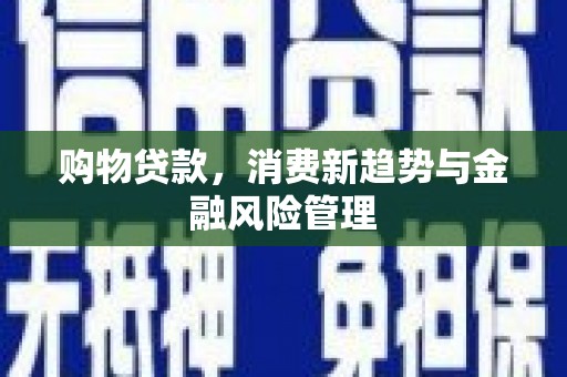 盐边购物贷款，消费新趋势与金融风险管理