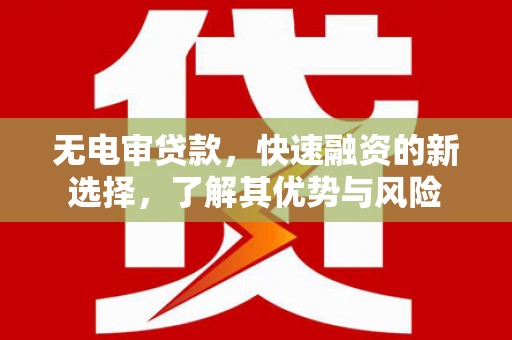 盐边无电审贷款，快速融资的新选择，了解其优势与风险