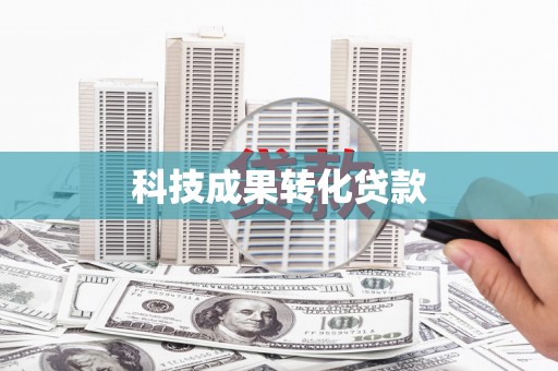 盐边科技成果转化贷款
