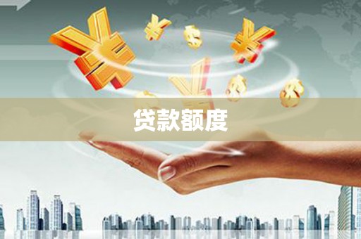 盐边贷款额度