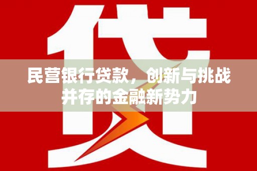 盐边民营银行贷款，创新与挑战并存的金融新势力