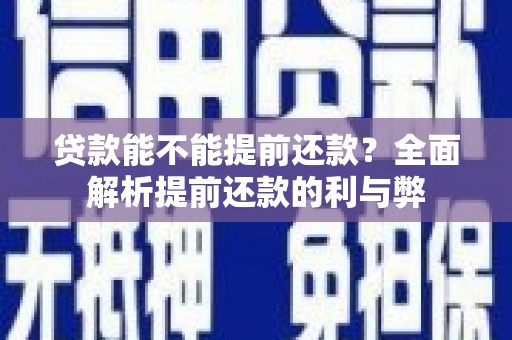 盐边贷款能不能提前还款？全面解析提前还款的利与弊