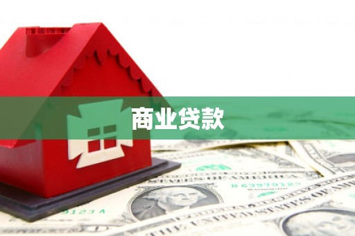 盐边商业贷款