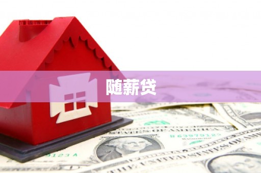 盐边随薪贷