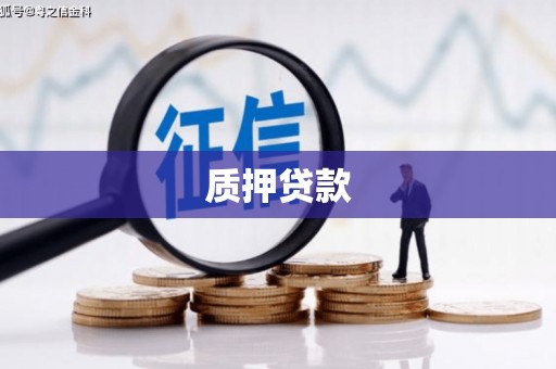 盐边质押贷款