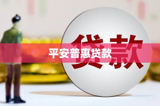 盐边平安普惠贷款