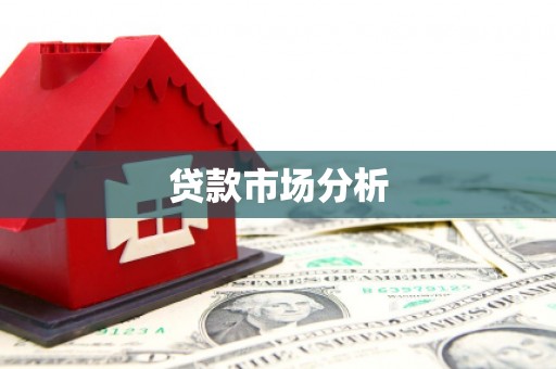 盐边贷款市场分析