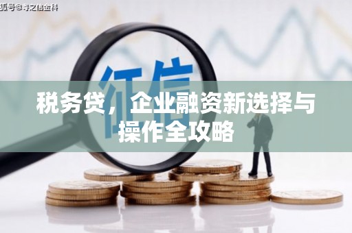 盐边税务贷，企业融资新选择与操作全攻略