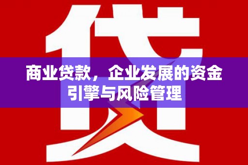 盐边商业贷款，企业发展的资金引擎与风险管理