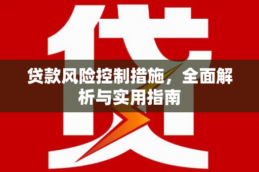 盐边贷款风险控制措施，全面解析与实用指南