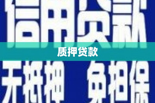 盐边质押贷款