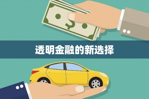 盐边透明金融的新选择