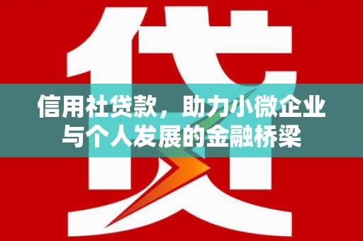 盐边信用社贷款，助力小微企业与个人发展的金融桥梁