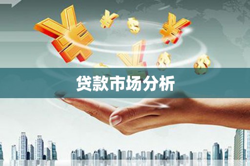 盐边贷款市场分析