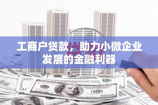 盐边工商户贷款，助力小微企业发展的金融利器