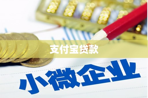 盐边支付宝贷款