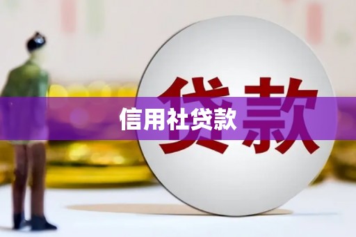 盐边信用社贷款