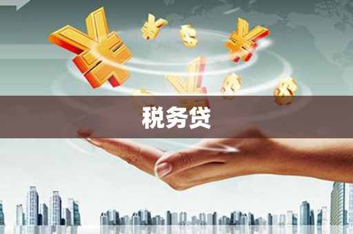 盐边税务贷