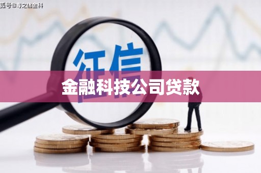 盐边金融科技公司贷款
