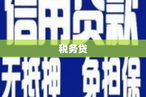 盐边税务贷
