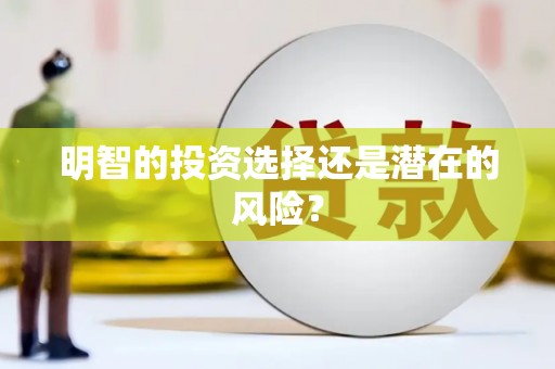 盐边明智的投资选择还是潜在的风险？