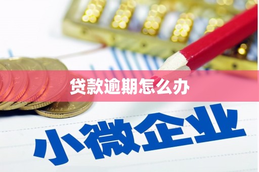 盐边贷款逾期怎么办