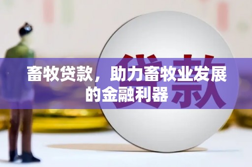 盐边畜牧贷款，助力畜牧业发展的金融利器
