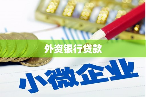 盐边外资银行贷款