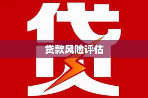盐边贷款风险评估
