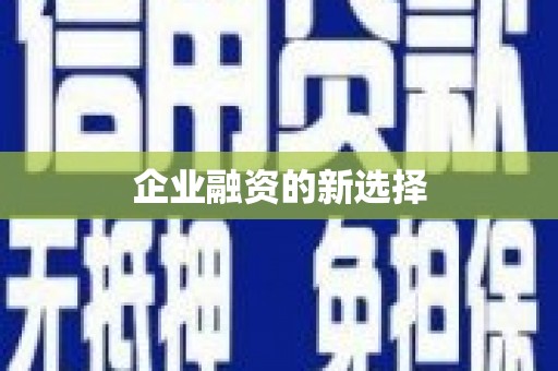 盐边企业融资的新选择