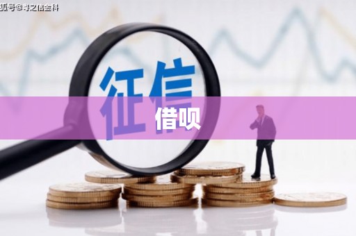 盐边借呗