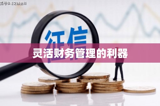 盐边灵活财务管理的利器