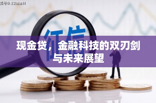 盐边现金贷，金融科技的双刃剑与未来展望