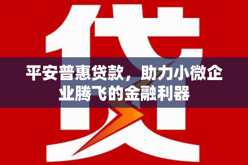 盐边平安普惠贷款，助力小微企业腾飞的金融利器