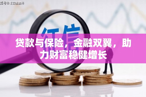 盐边贷款与保险，金融双翼，助力财富稳健增长