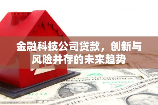 盐边金融科技公司贷款，创新与风险并存的未来趋势