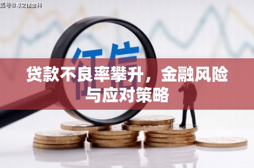 盐边贷款不良率攀升，金融风险与应对策略