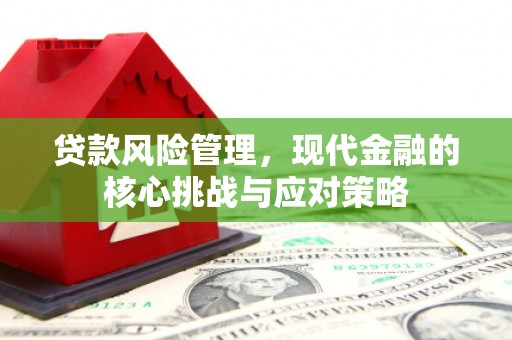 盐边贷款风险管理，现代金融的核心挑战与应对策略