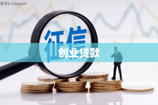 盐边创业贷款