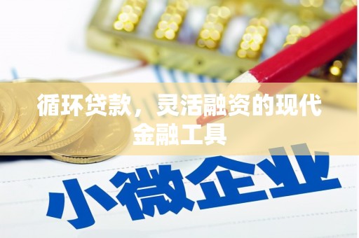 盐边循环贷款，灵活融资的现代金融工具