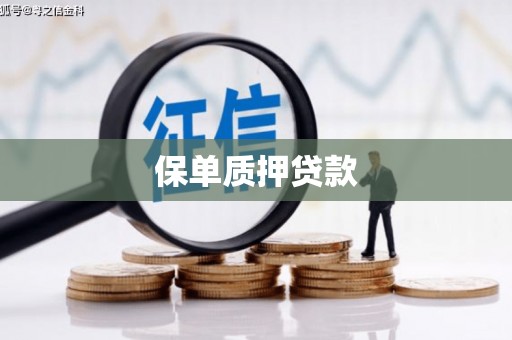 盐边保单质押贷款