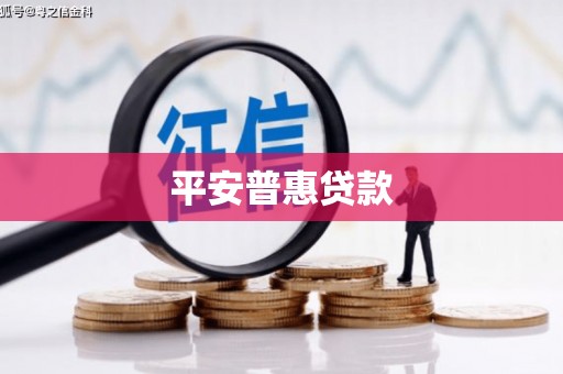 盐边平安普惠贷款