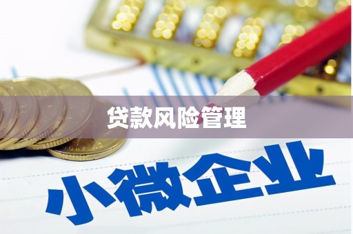 盐边贷款风险管理