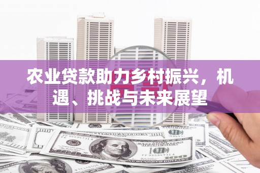 盐边农业贷款助力乡村振兴，机遇、挑战与未来展望