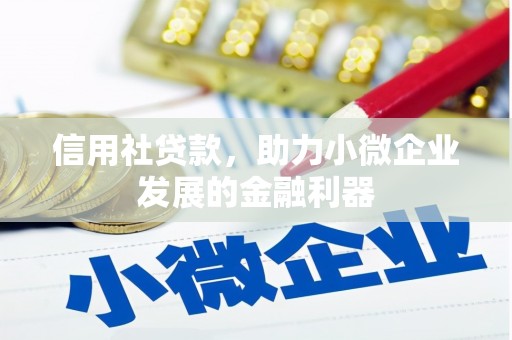 盐边信用社贷款，助力小微企业发展的金融利器