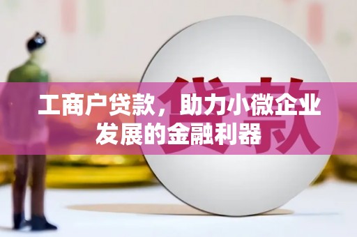 盐边工商户贷款，助力小微企业发展的金融利器